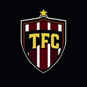 ECONOMIA I EMPRESA TFC